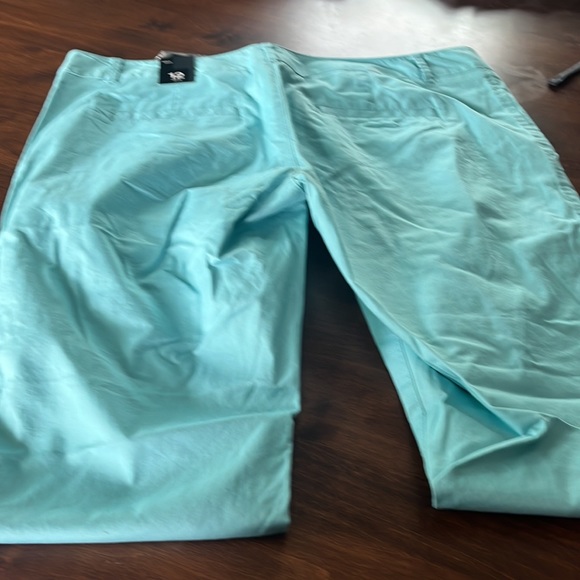 The Limited Ankle Slacks - Picture 3 of 5